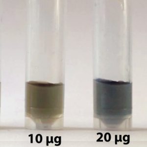 Veritech Protein ( Genel Alerjen ) Kalıntı Test Kiti